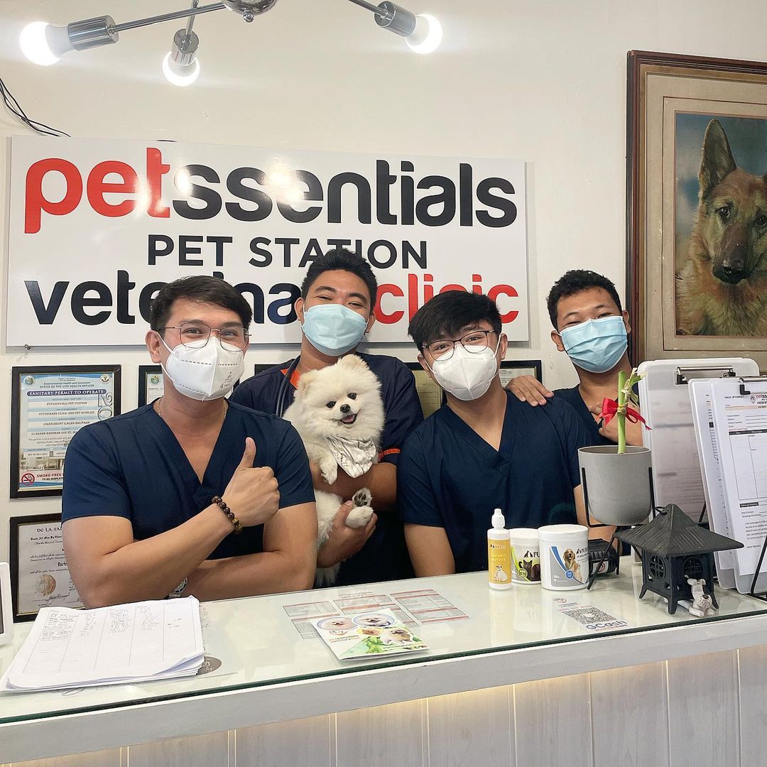 Petssentials Pet Station Gallery Image