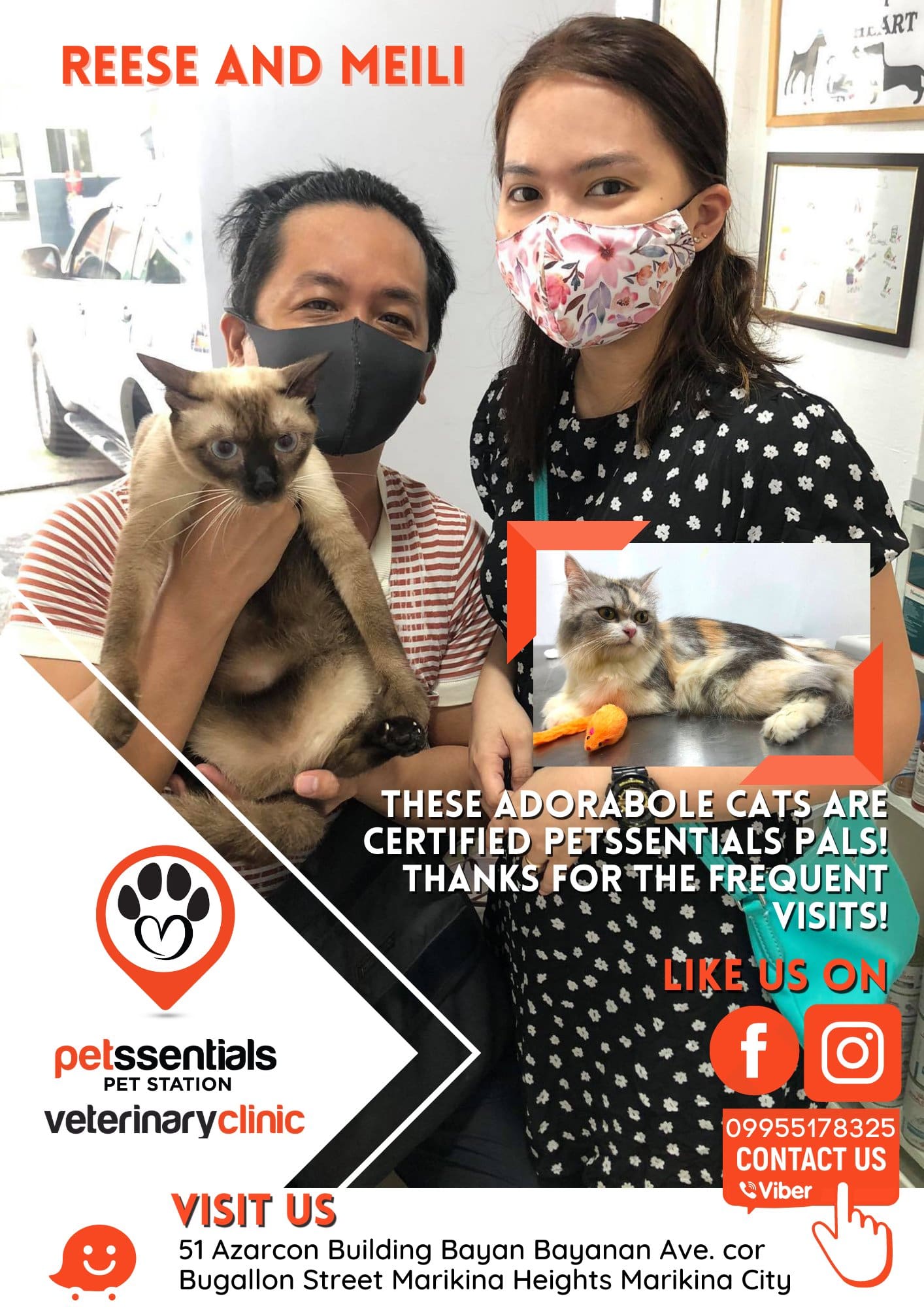 Petssentials Pet Station Gallery Image