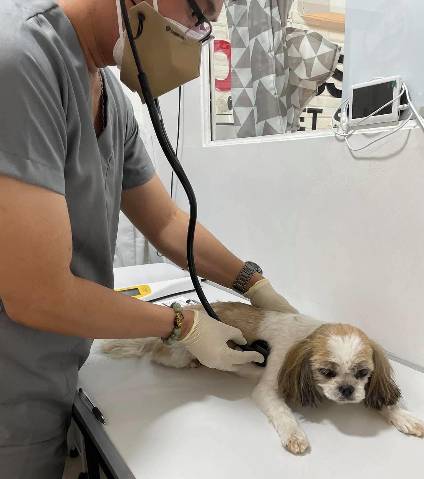 Consultation Service